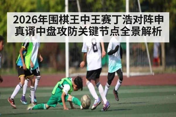 2026年围棋王中王赛丁浩对阵申真谞中盘攻防关键节点全景解析（hth）